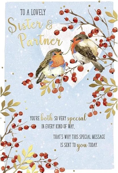Robins On Branch Sister And Partner Christmas Card