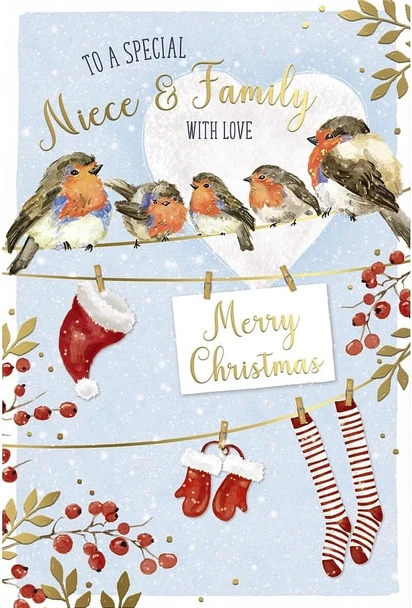 Robins On Washing Line Niece And Family Christmas Card