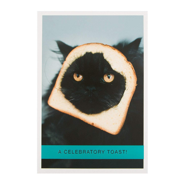 Hallmark Funny Cat Celebration New Card 'A Toast' - Medium