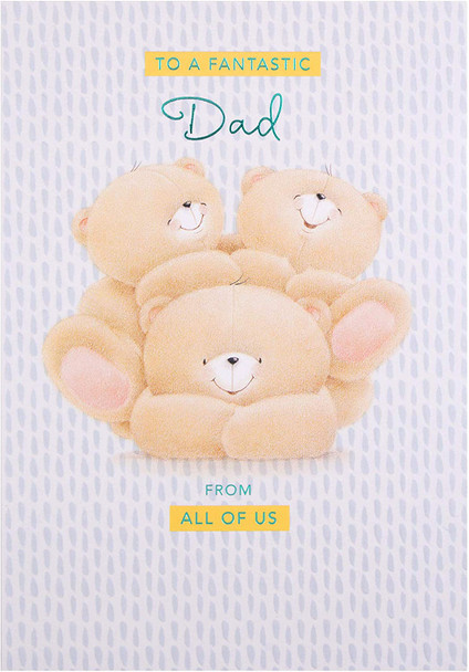 Hallmark Forever Friends Dad Father's Day Card 'From All' Medium  