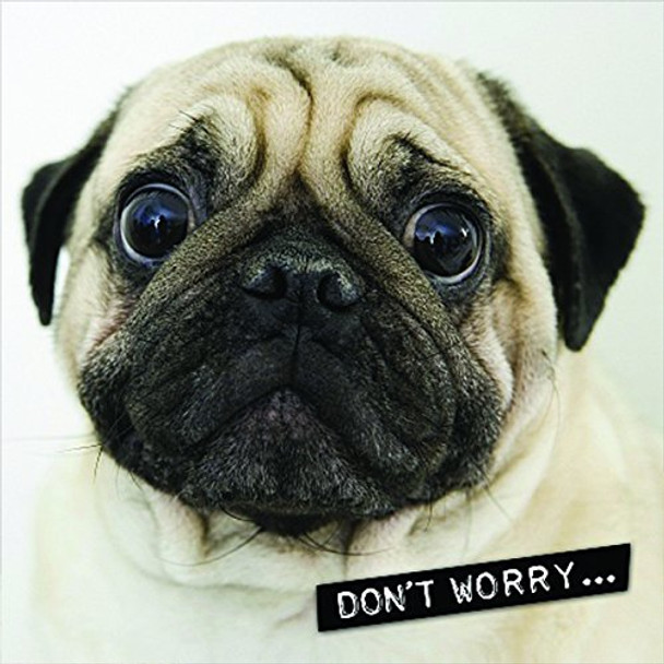 Up Close Lenticular 3d Blank Greeting Card 'Worried Pug'