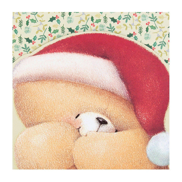 Hallmark Forever Friends Christmas Card 'Cosy' Small Square