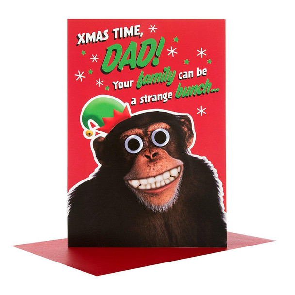 Hallmark Medium Dad "Strange Bunch" Christmas Card