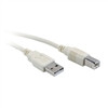 USB 2.0 Cable; USB-A Male to USB-B Male; 10 Feet (NUB-3110)