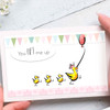 DL-LM006-Cute-Chickens-Hen-with-balloon---Lucy-Monkman-Rachael.-Blog-10.02.24-Rachael-Evans