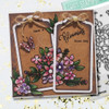 Blooming Blossom Value Bundle - 4 stamp sets