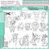 Zodiac/Horoscope/Star Signs - BIG KAHUNA Bundle cardmaking, craft, scrapbooking & sticker printables