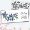 Blooming Blossoms Special Bundle - Stamps, Stencils & Dies