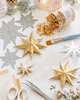 Sculptured stars Craft Cutting Dies. Holly & Berry Die Set - Craft Cutting Dies for crafts, card making scrapbooking