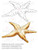 Winnie Starfish/Sandcastles - Starfish DOWNLOAD