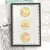 Switchables® stencils bundle  stencil for card making, craft, scrapbooking, mixed media