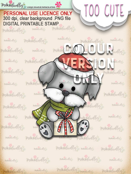 Cooper Gift Box - Coloured - Too Cute digital papercrafting download