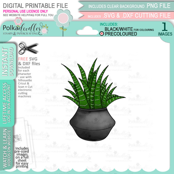 Spiky Succulent (precoloured) printable clipart digital stamp for cardmaking, craft & stickers