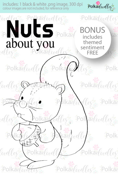 Nuts About You...Craft Digital stamp download with FREE Sentiment
