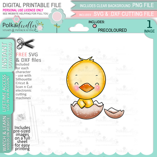 Cute chick in an egg - COLOUR printable clipart digital stamp, digistamp for cards, cardmaking, crafting and stickers
