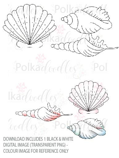 Winnie Starfish/Sandcastles - Seashells DOWNLOAD