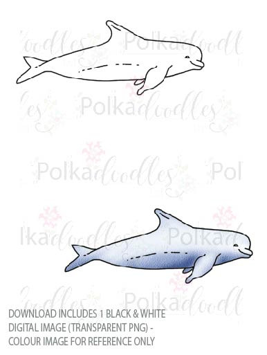Winnie Starfish/Sandcastles - Dolphin  DOWNLOAD