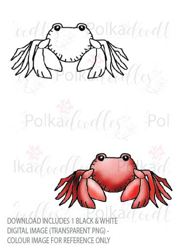 Winnie Starfish/Sandcastles - Crab DOWNLOAD