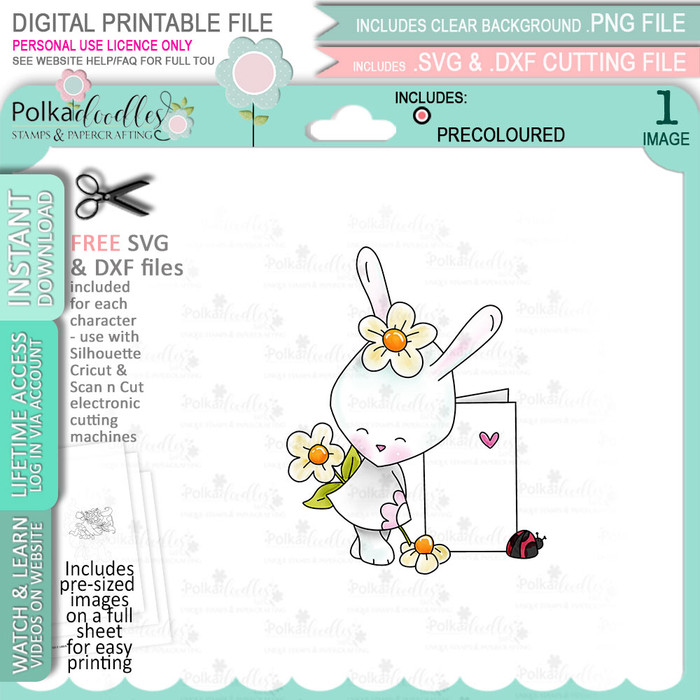 Bunny Rabbit blank Greeting Card - COLOUR printable digital stamp, digistamp for cards, cardmaking, crafting and stickers