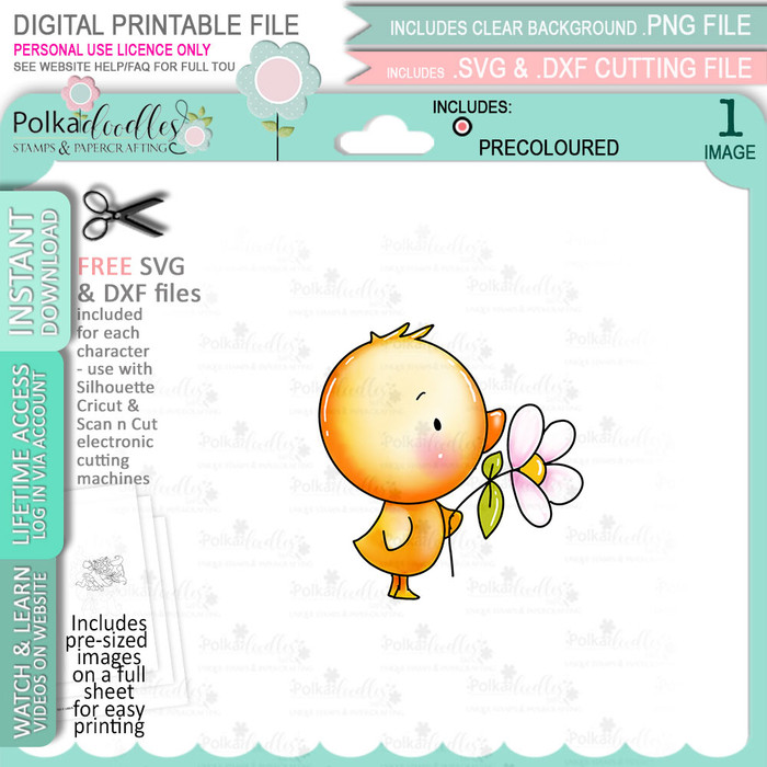 Cute chick with flower - COLOUR printable clipart digital stamp, digistamp for cards, cardmaking, crafting and stickers