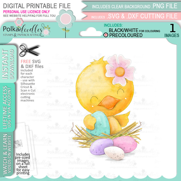 In the Nest Chick PRECOLOURED Spring into Easter cute printable craft digital stamp download