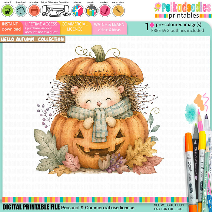 Hedgehog-Pumpkin-Pre-Coloured-Digi-Cute-Fall-Halloween-Woodland-Clipart-Hello-Autumn.png