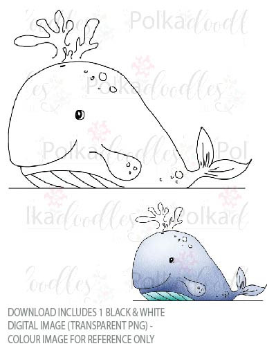 Winnie Starfish/Sandcastles - Whale DOWNLOAD