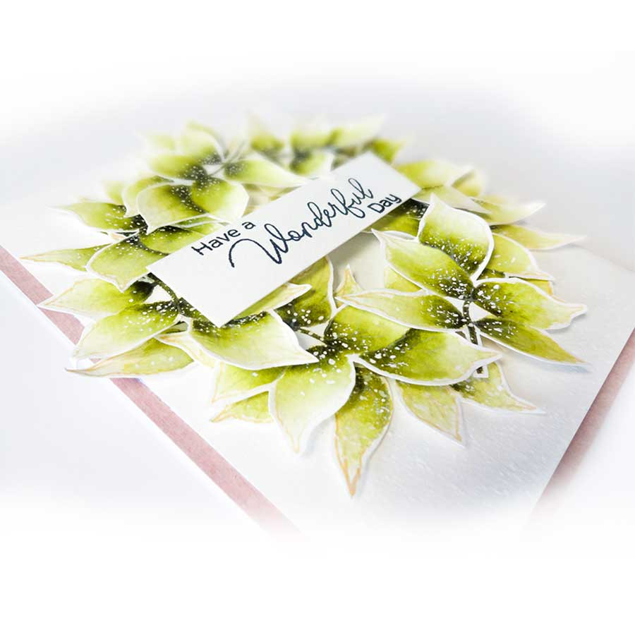 Honey Rose Transitions Layering Stamps -  Clear Polymer stamp set