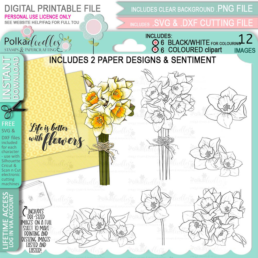 Blooms 2 Daffodil Flower bundle - digital stamp, digistamp for cards, cardmaking, crafting and stickers