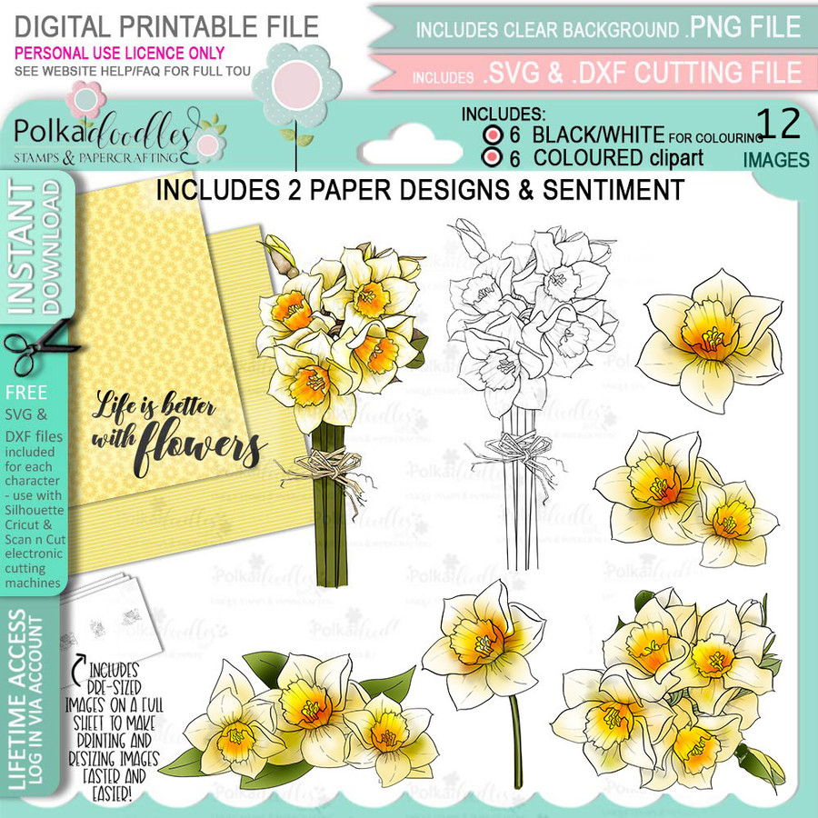 Blooms 2 Daffodil Flower bundle - digital stamp, digistamp for cards, cardmaking, crafting and stickers
