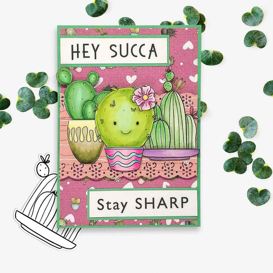 Happy Cactus Succulent bundle - (PRECOLOURED) printable clipart digital stamp for cardmaking, craft & stickers