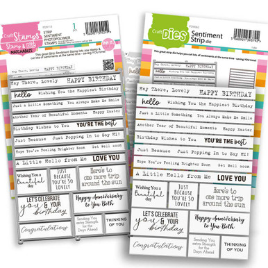 Sentiment Stamps Strip Sentiment Panel Stamps & Dies bundle, A5/6 x 8