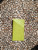 CANDY COLOR CARD CASE
