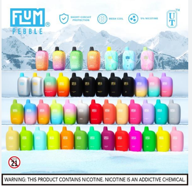 Flum Pebble 6000 Puffs Rechargeable Disposable 10-Pack