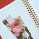 Aura Colour Chart Note Book NEUHAUS ZEN [[product_type]]