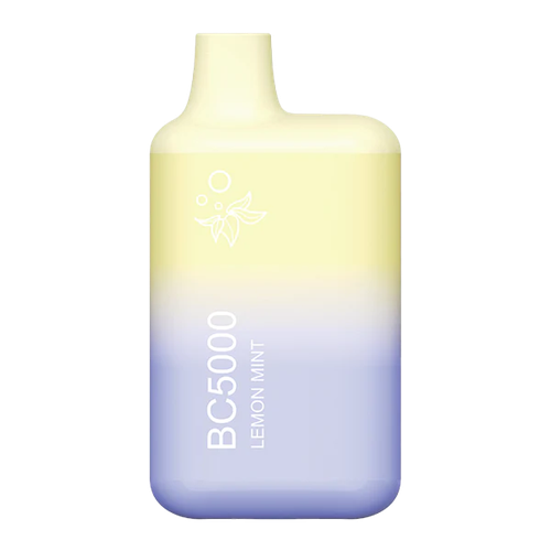 EBCREATE BC5000 Lemon Mint Disposable Vape - EBCREATE Store