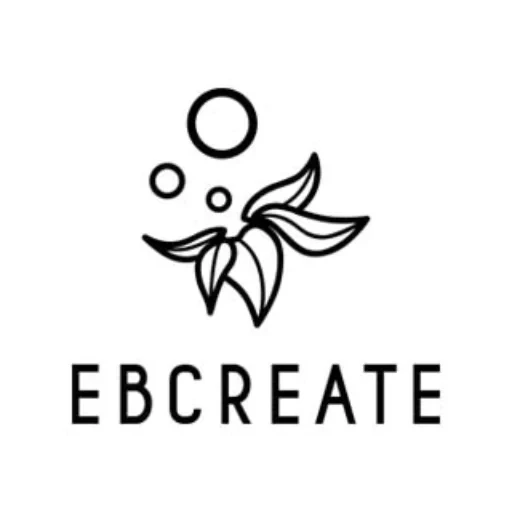EBCREATE Disposable Vapes