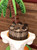 Oreo Cookie Cake (Model# 11203)