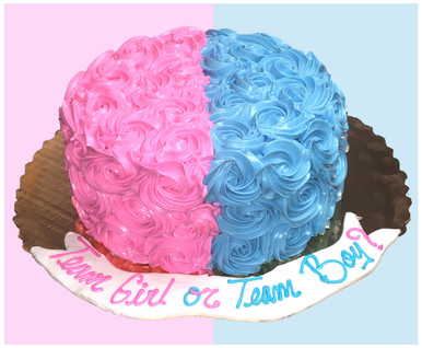 Gender Reveal Cake (Model# 41102)