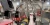 Trine Series Roll-Fed Labelers