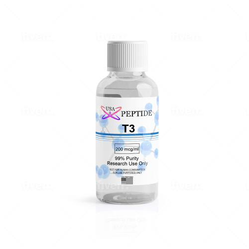 T3 950ml