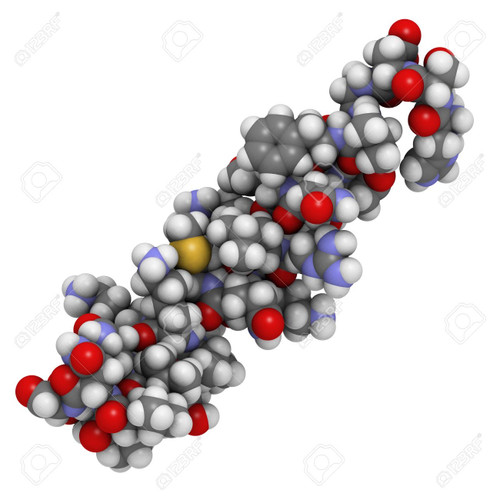 Vip Peptide (Vasoactive Intestinal Peptide)