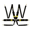6 Point Quick Release Racing Harness