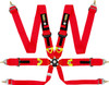 6 Point Quick Release Racing Harness
