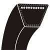 V Belt