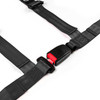 SAAS Harness 4 Point Black EC-R16 2" Inch