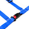 SAAS Harness 4 Point Blue EC-R16 2" Inch