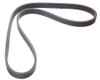 MicroV Drive Belt