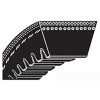 V Belt