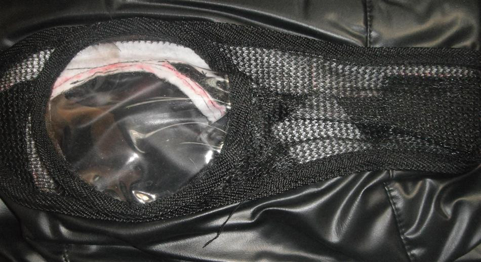Car Bra